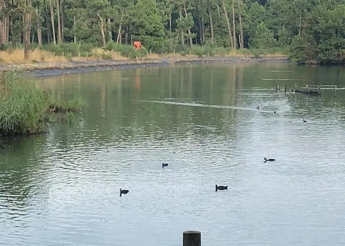 Beachliving إسموريز