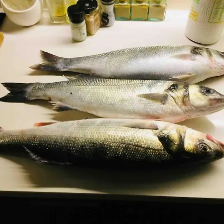 Beachliving 伊斯莫里兹