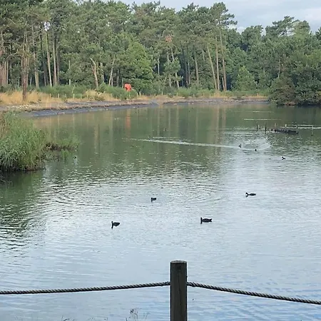 Beachliving איזמוריס