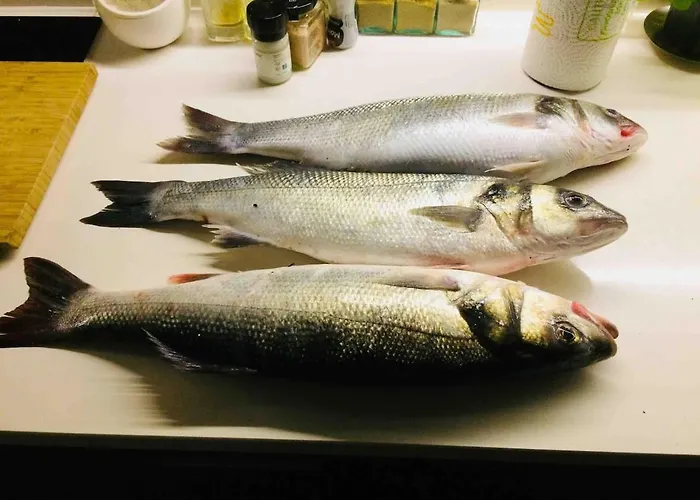 Beachliving Эшмориш